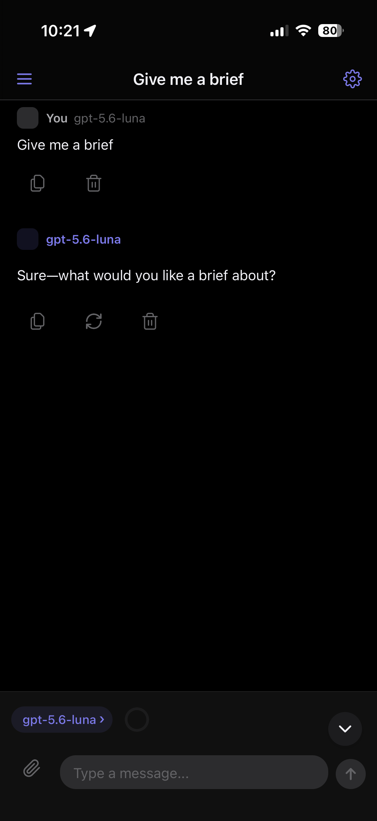 Arlo Lite app screenshot showing a chat conversation